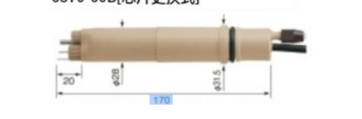 HORIBA 堀场电极塑料机身ORP传感器6870-60B[芯片更换式]